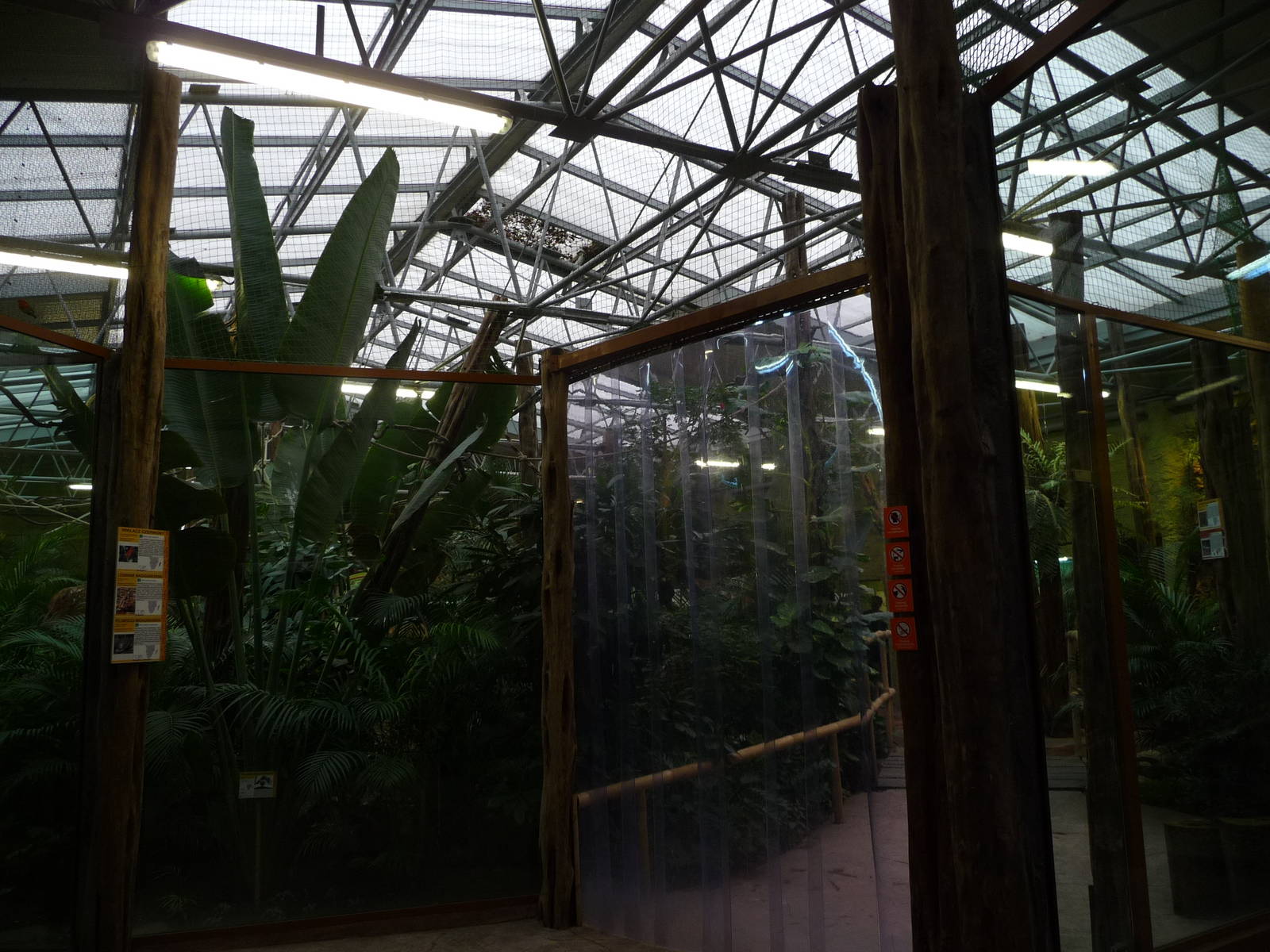 Inside Madagascar House