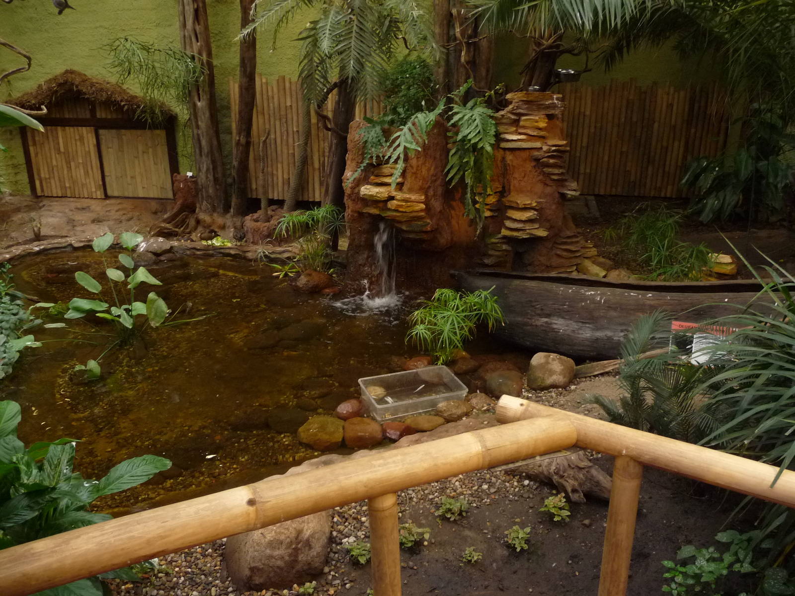 Inside Madagascar House