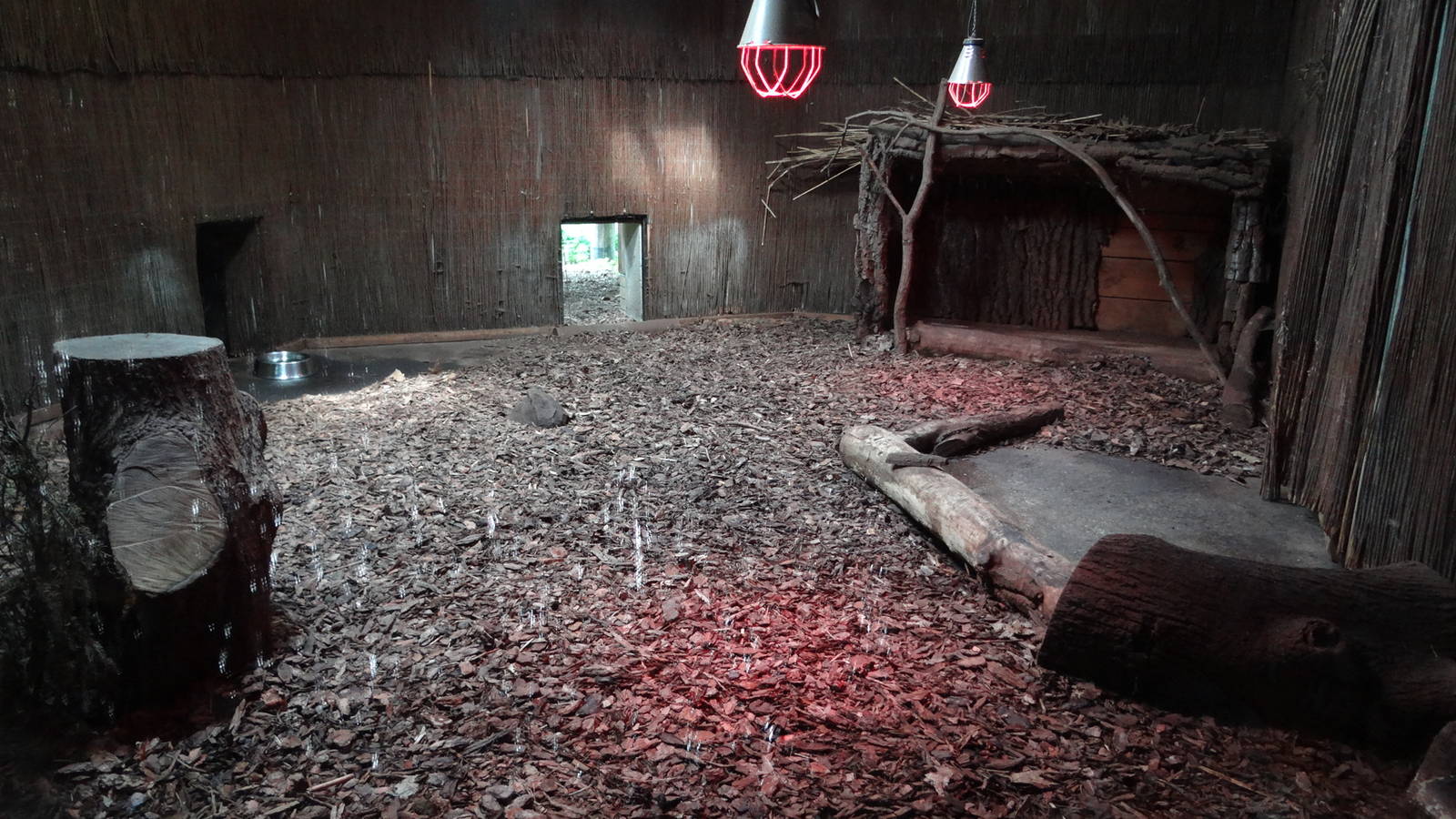 Inside Maned Wolf house