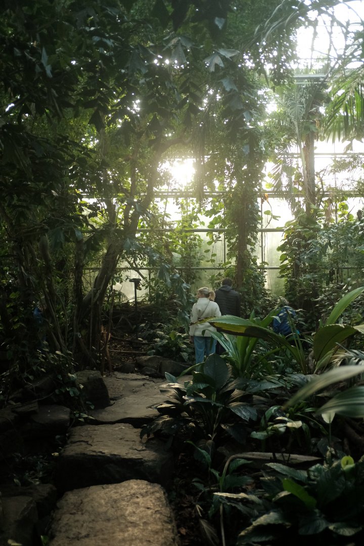 Inside Metzelaar's Greenhouse