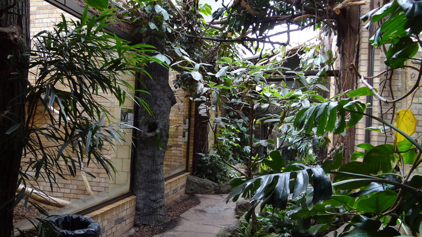 Inside monkey house