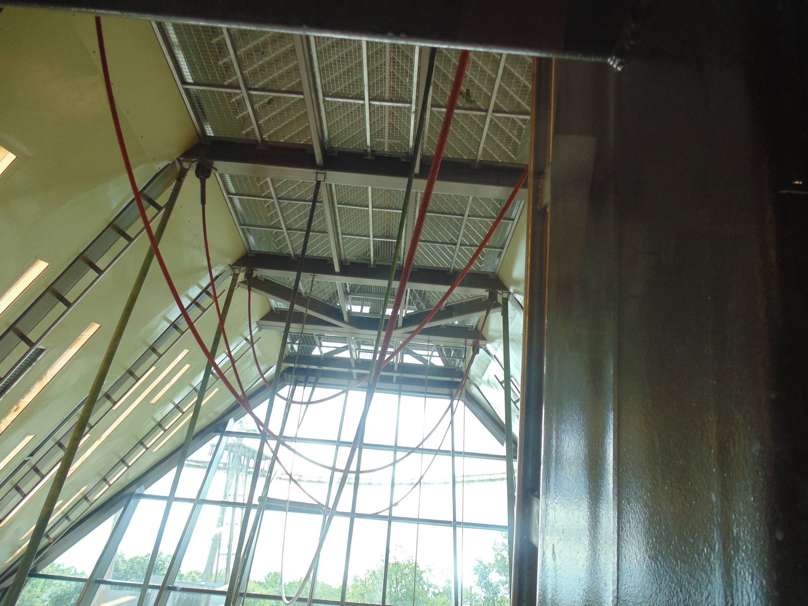 inside new orangutan exhibit