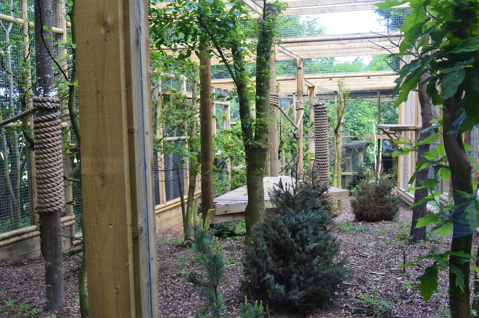 Inside new snow leopard extension