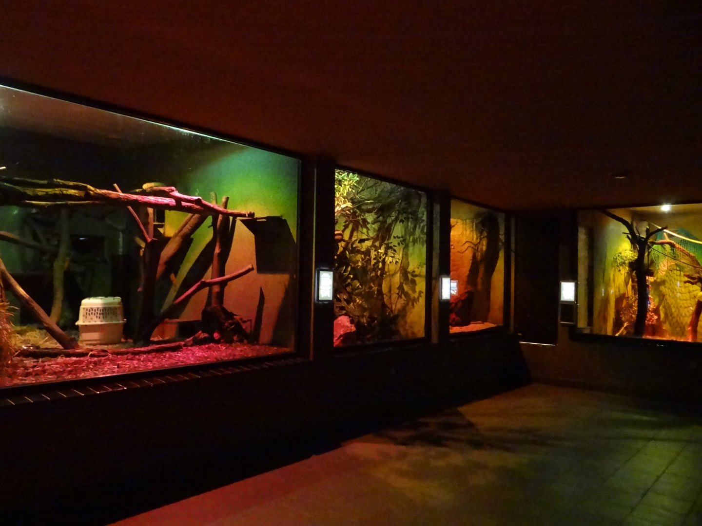 Inside Nocturnal House