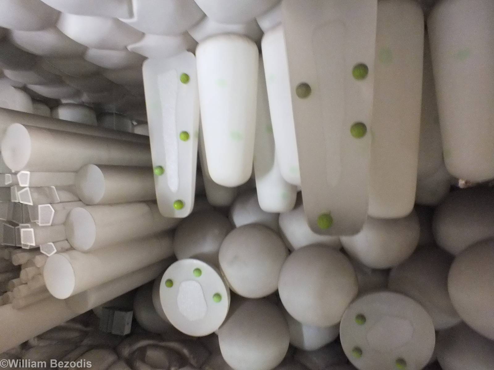 Inside of a Leaf in the Ecology Area - NHM London