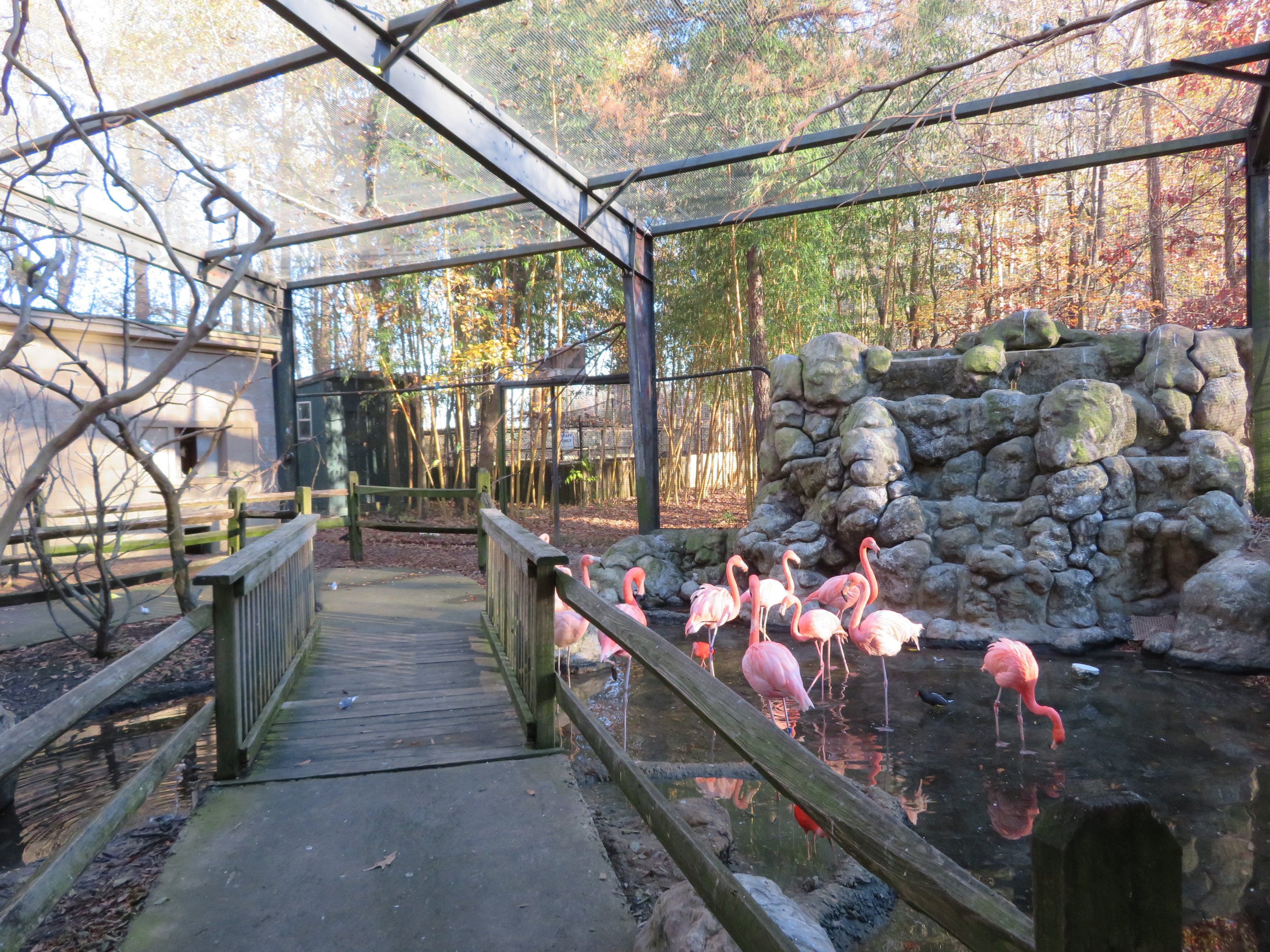 Inside of Feeding Aviary