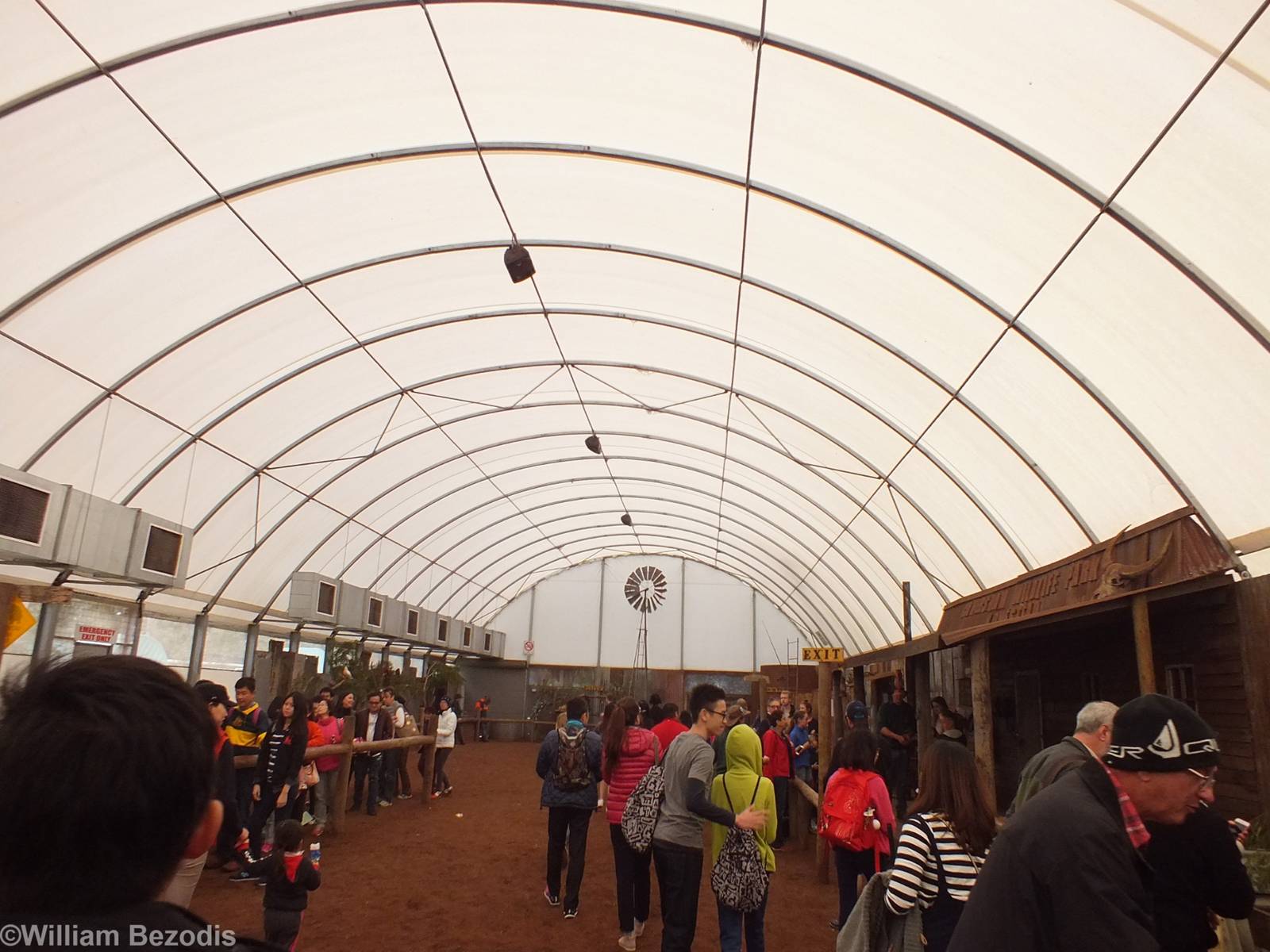 Inside of 'Meet the Wombat and Friends' Show Area - Caversham Wildlife Park