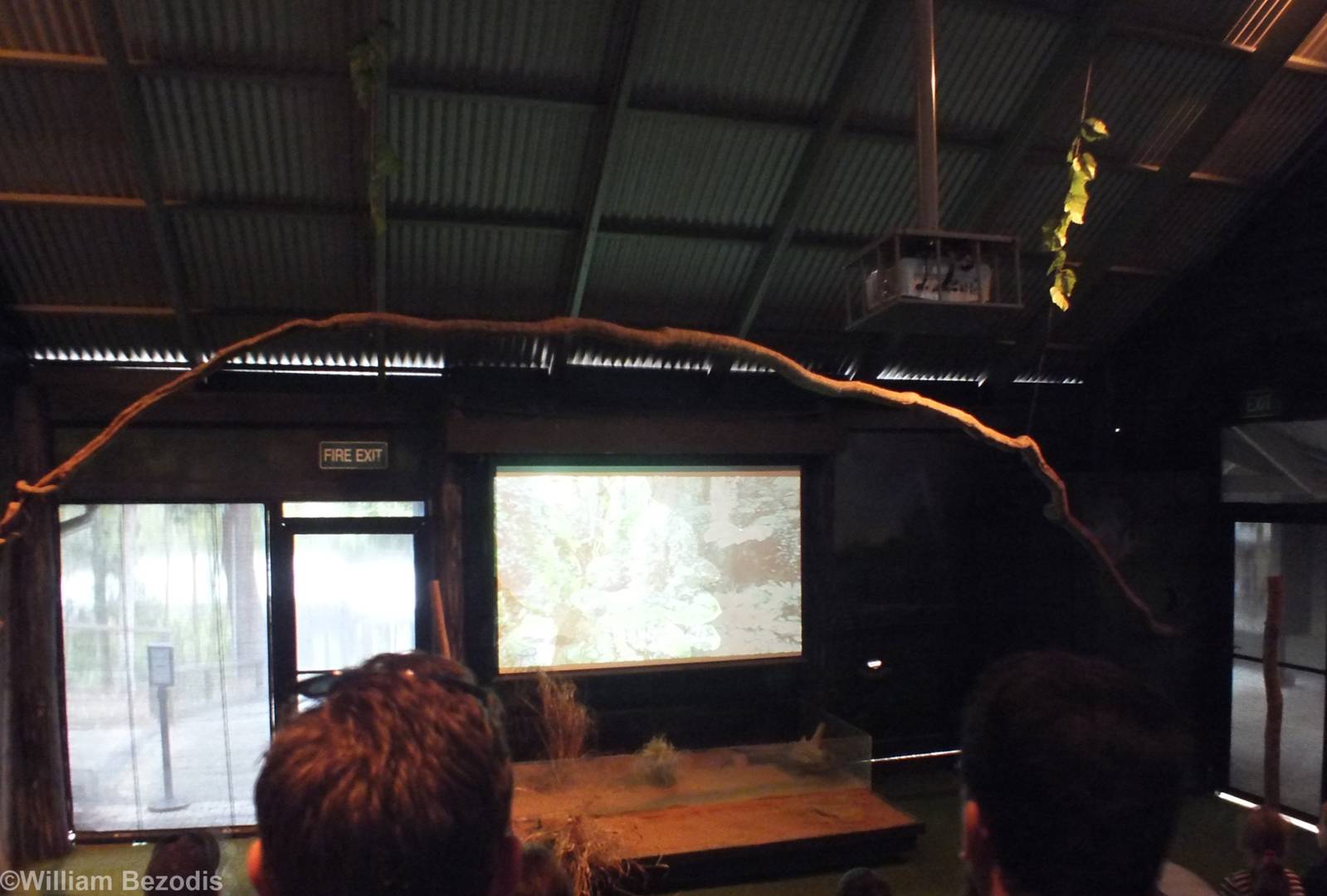 Inside of Night Show Area