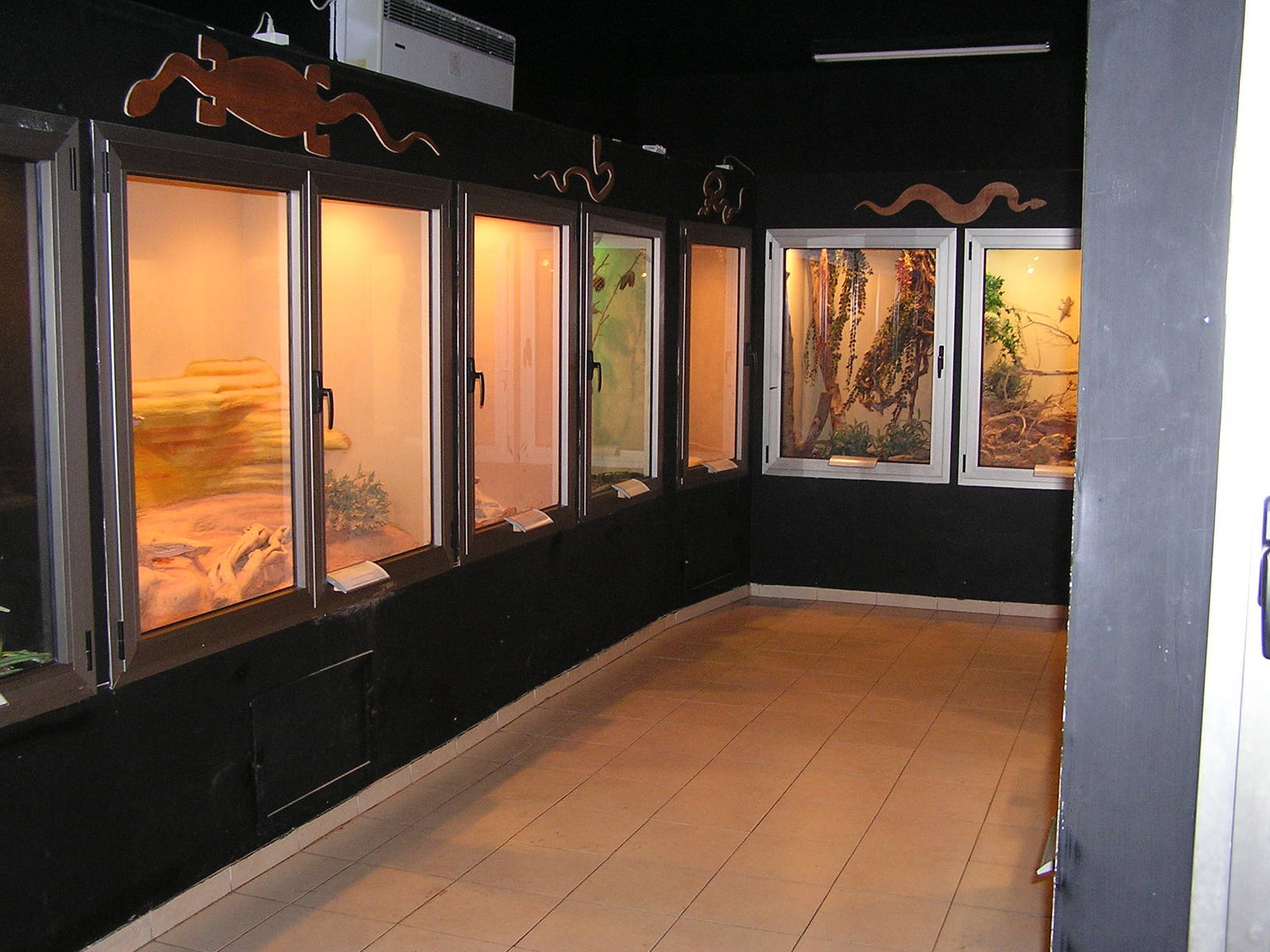 Inside of Reptile House