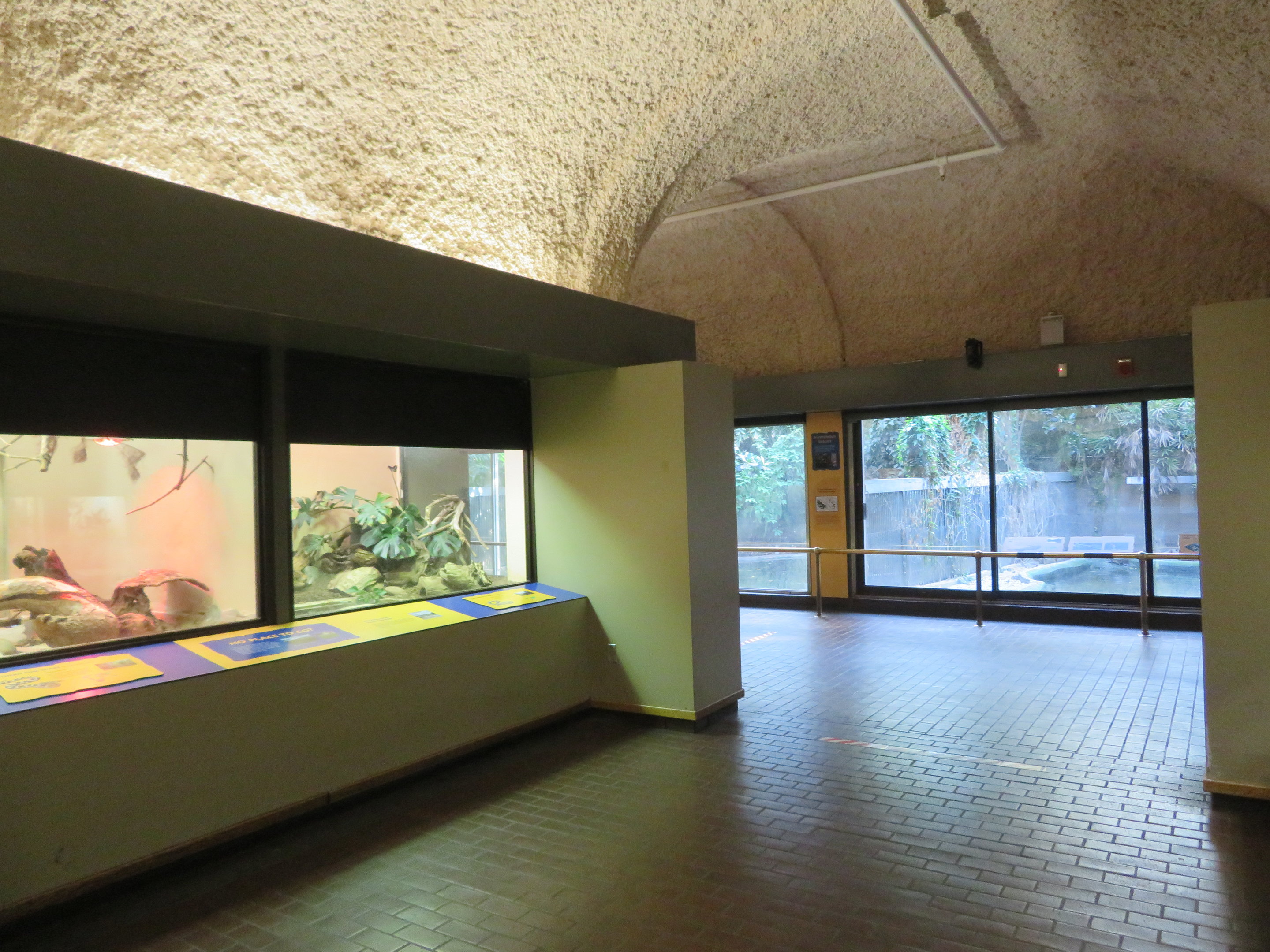 Inside of Reptile House