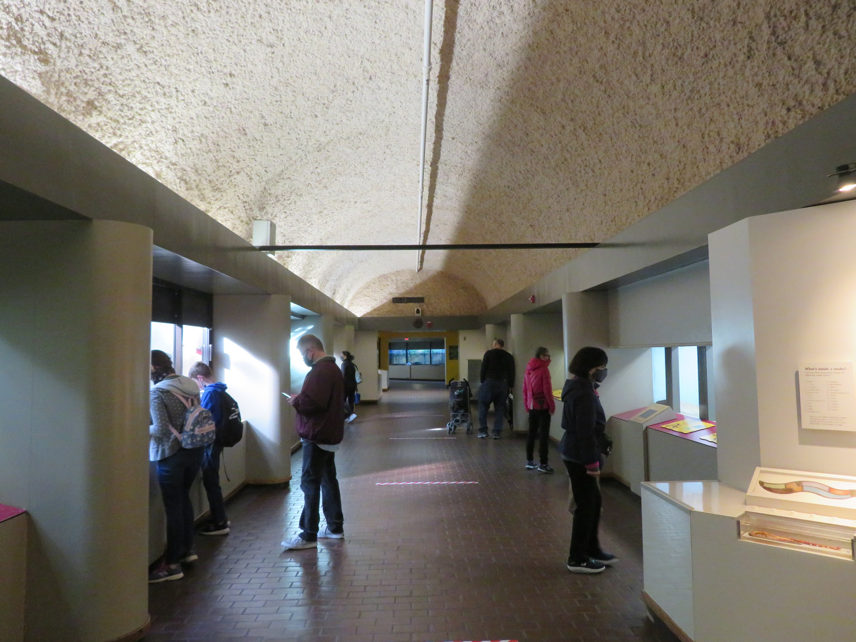 Inside of Reptile House