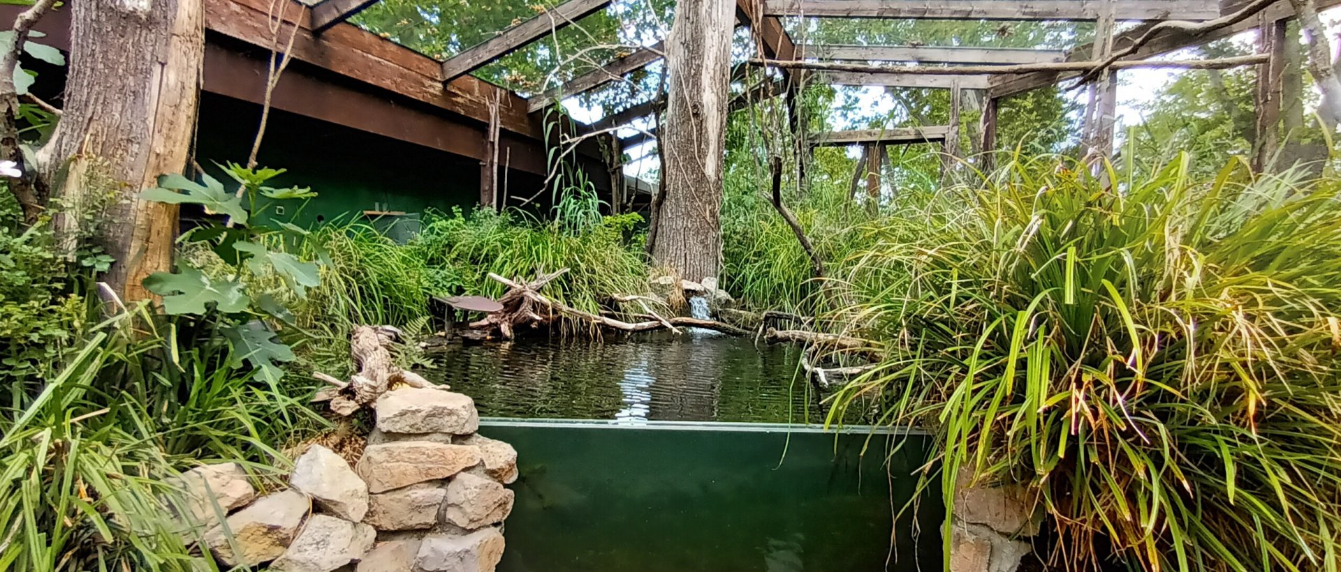 Inside of the Amazon Aviary