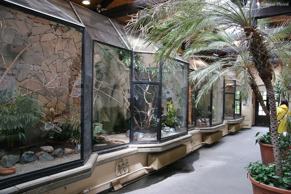 Inside of the Birdhouse