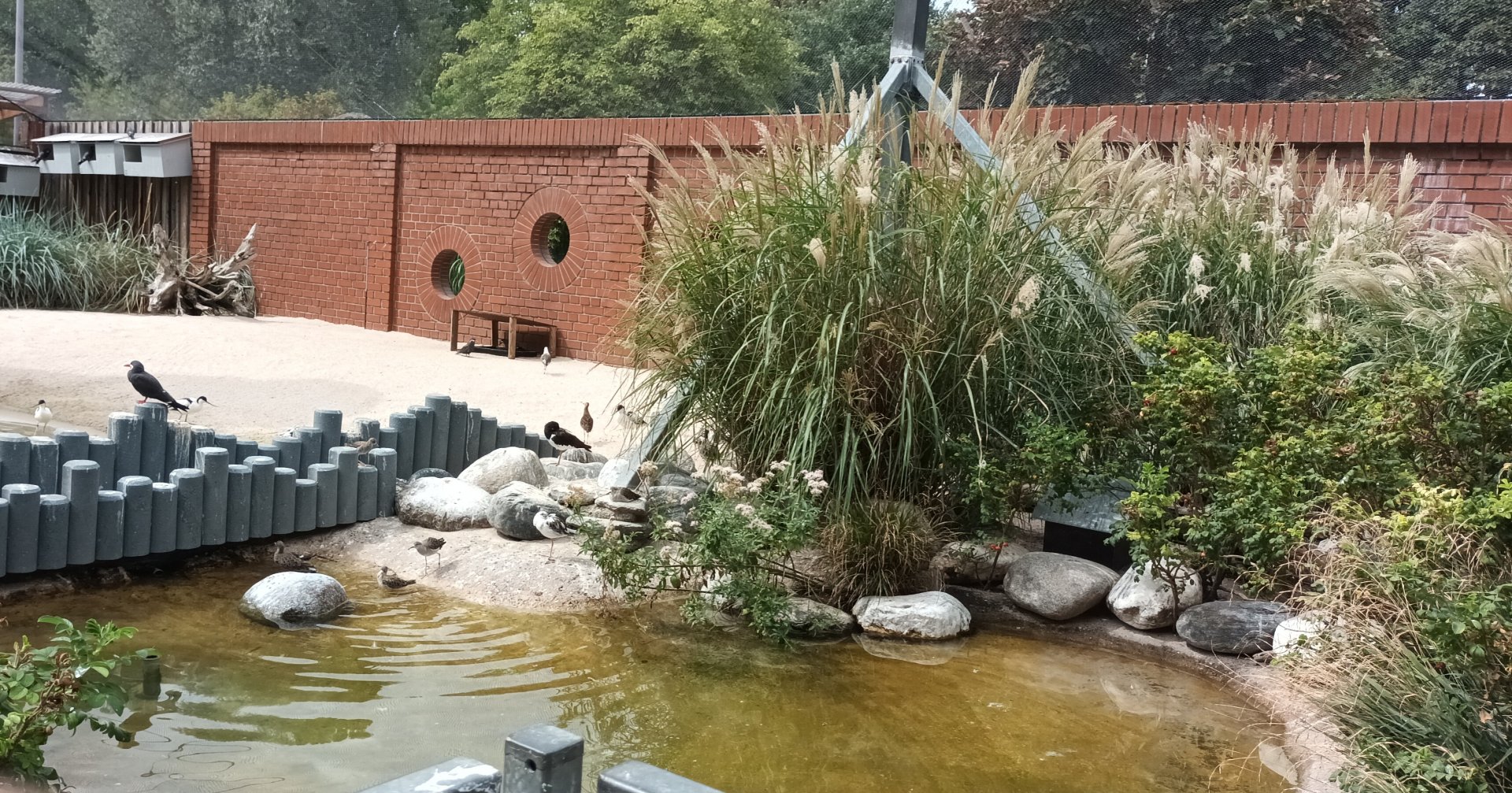 Inside of the coastal panorama sea bird Aviary