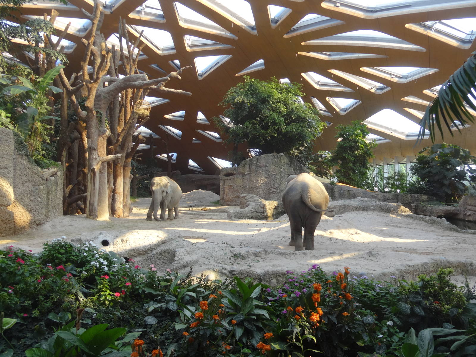 Inside of the Elephant House