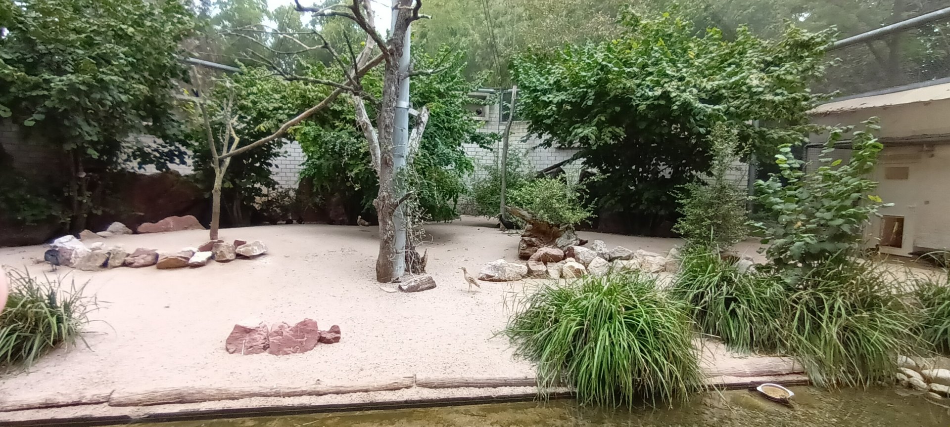 Inside of the European Aviary
