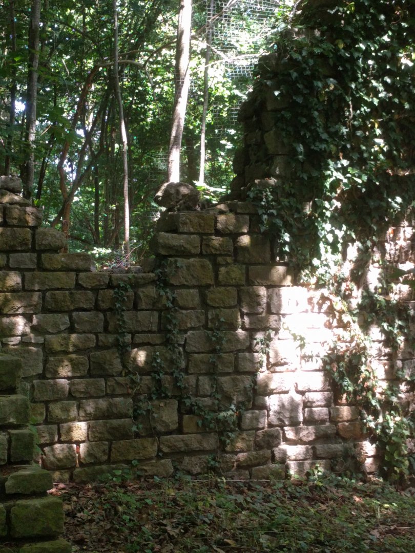 Inside of the great Grey owl Walk through Aviary