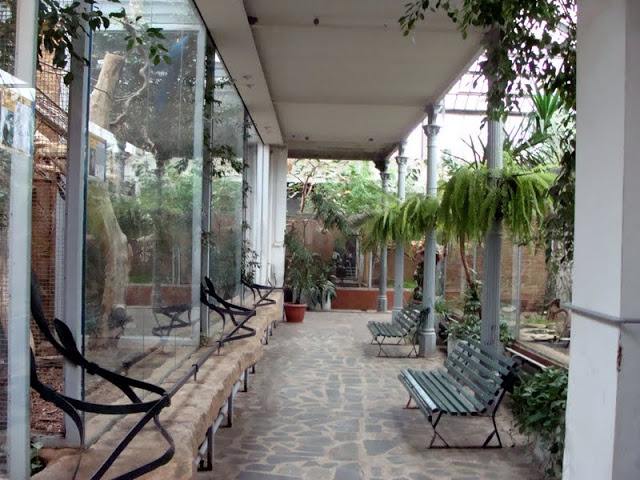 Inside of the pavilion of birds