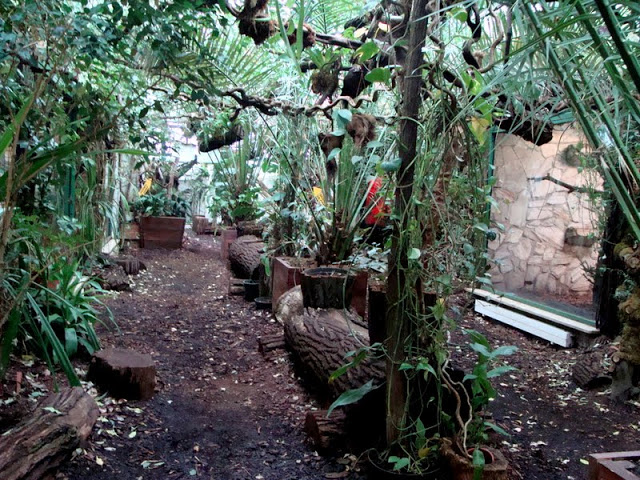 Inside of the pavilion of monkeys