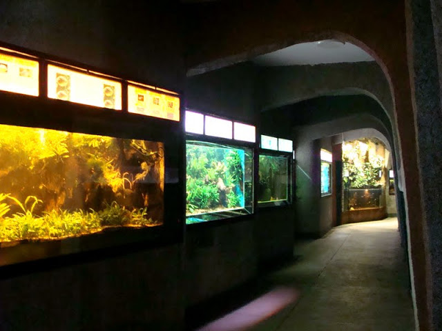 Inside of the pavilion of the Aquarium