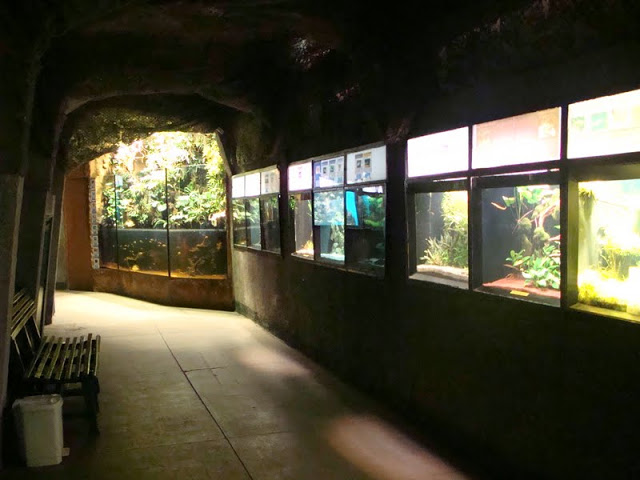 Inside of the pavilion of the Aquarium