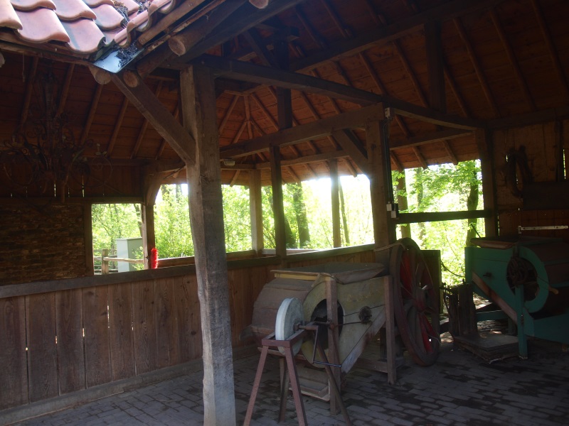Inside of the pig and cown barn (May 2nd, 2015)