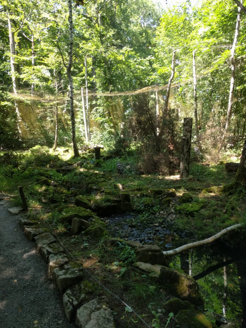 Inside of the snowy owl Walk through Aviary