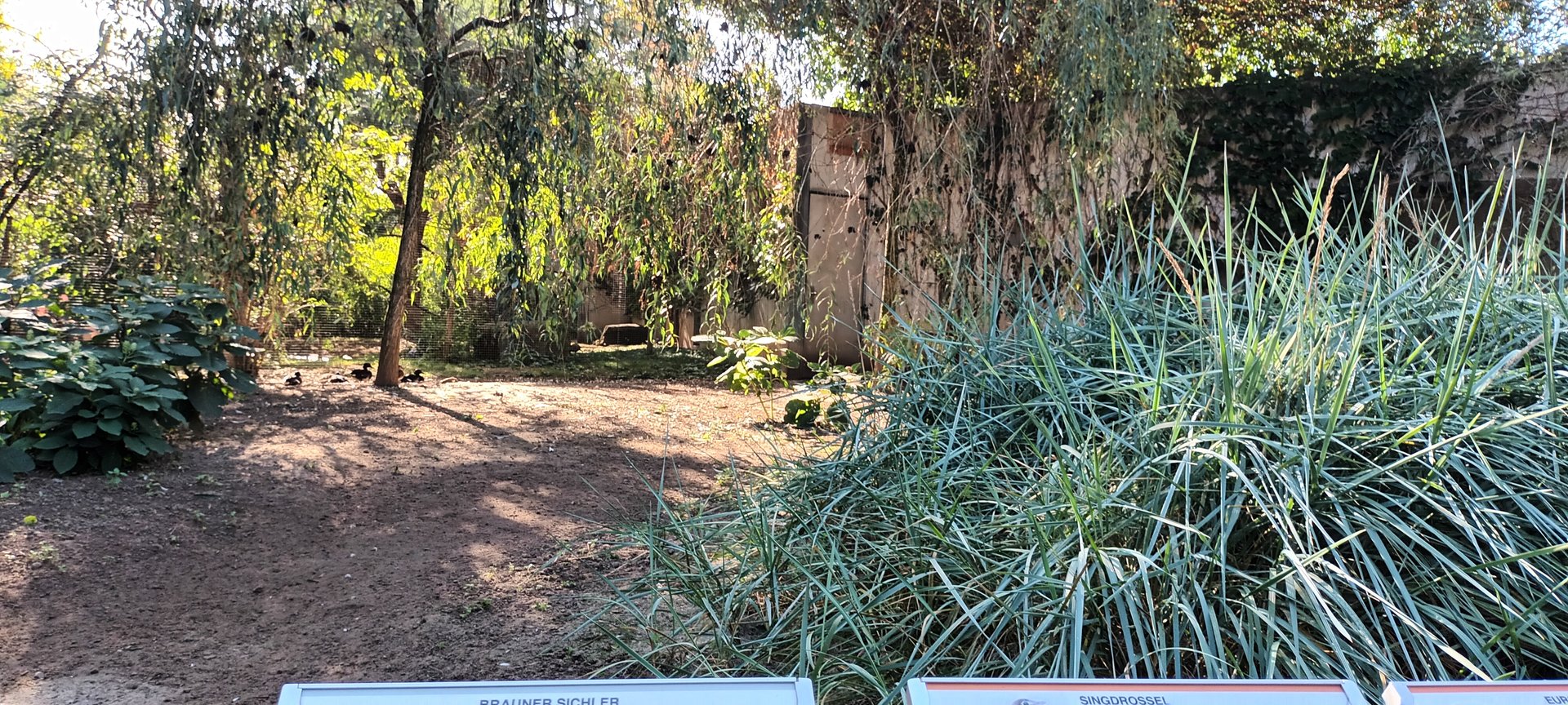 Inside of the walkthrough Eurasian Wetlands Aviary