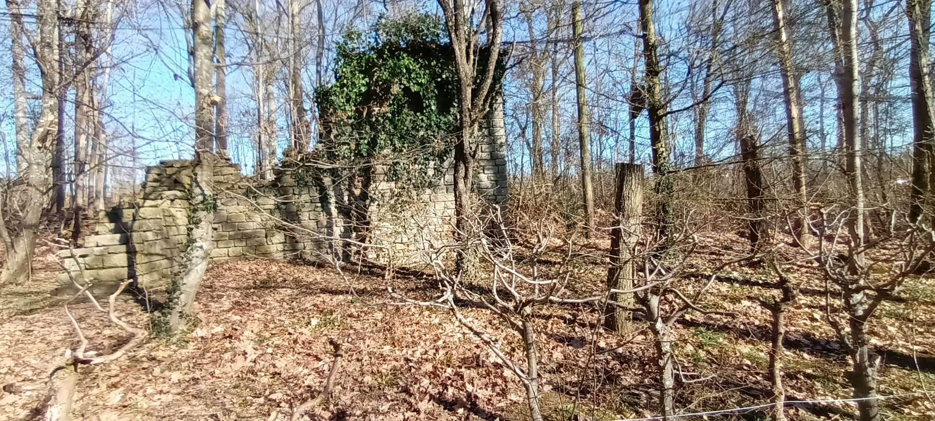 Inside of the walkthrough Great grey Owl Aviary