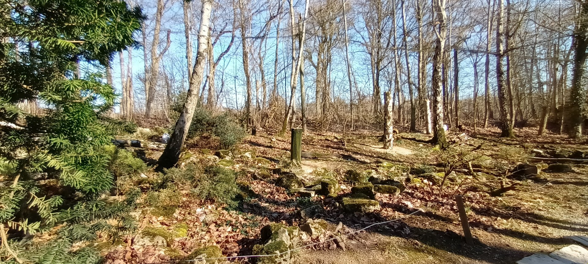 Inside of the walkthrough Snowy Owl Aviary