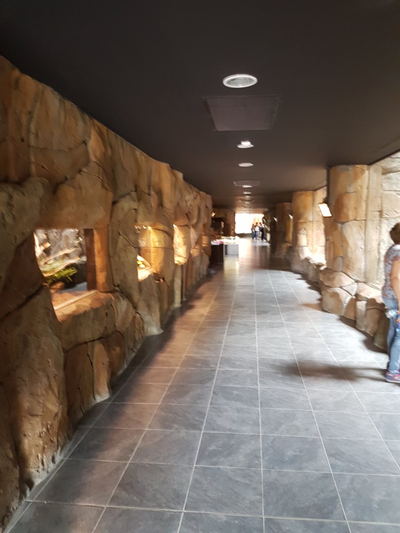 Inside of "tropical center"