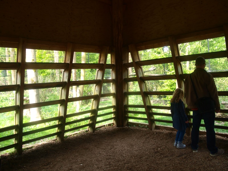 Inside of viewing hut (May 2nd, 2015)