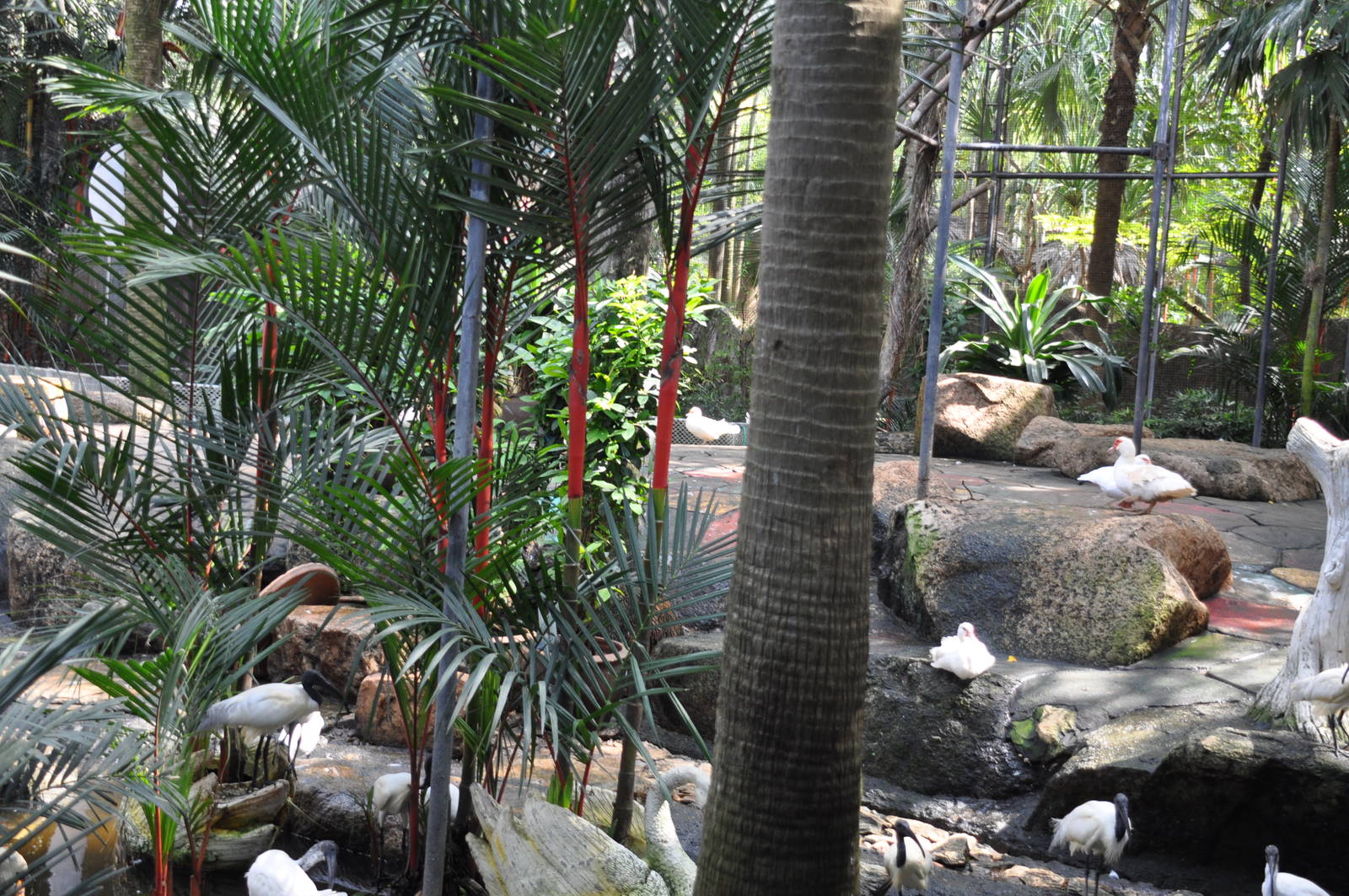 Inside of waterfowl aviary
