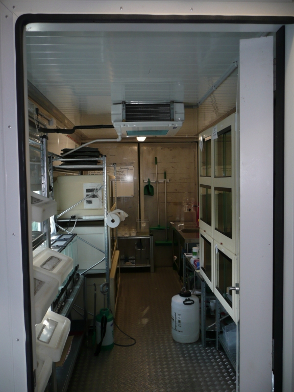 Inside one of the amphibian pods at Chester Zoo