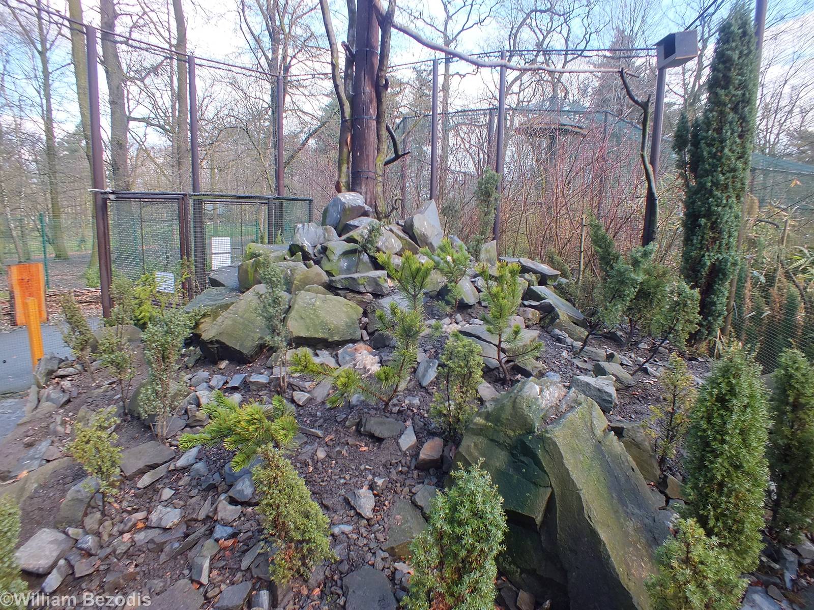Inside one of the aviaries - Chinese Garden