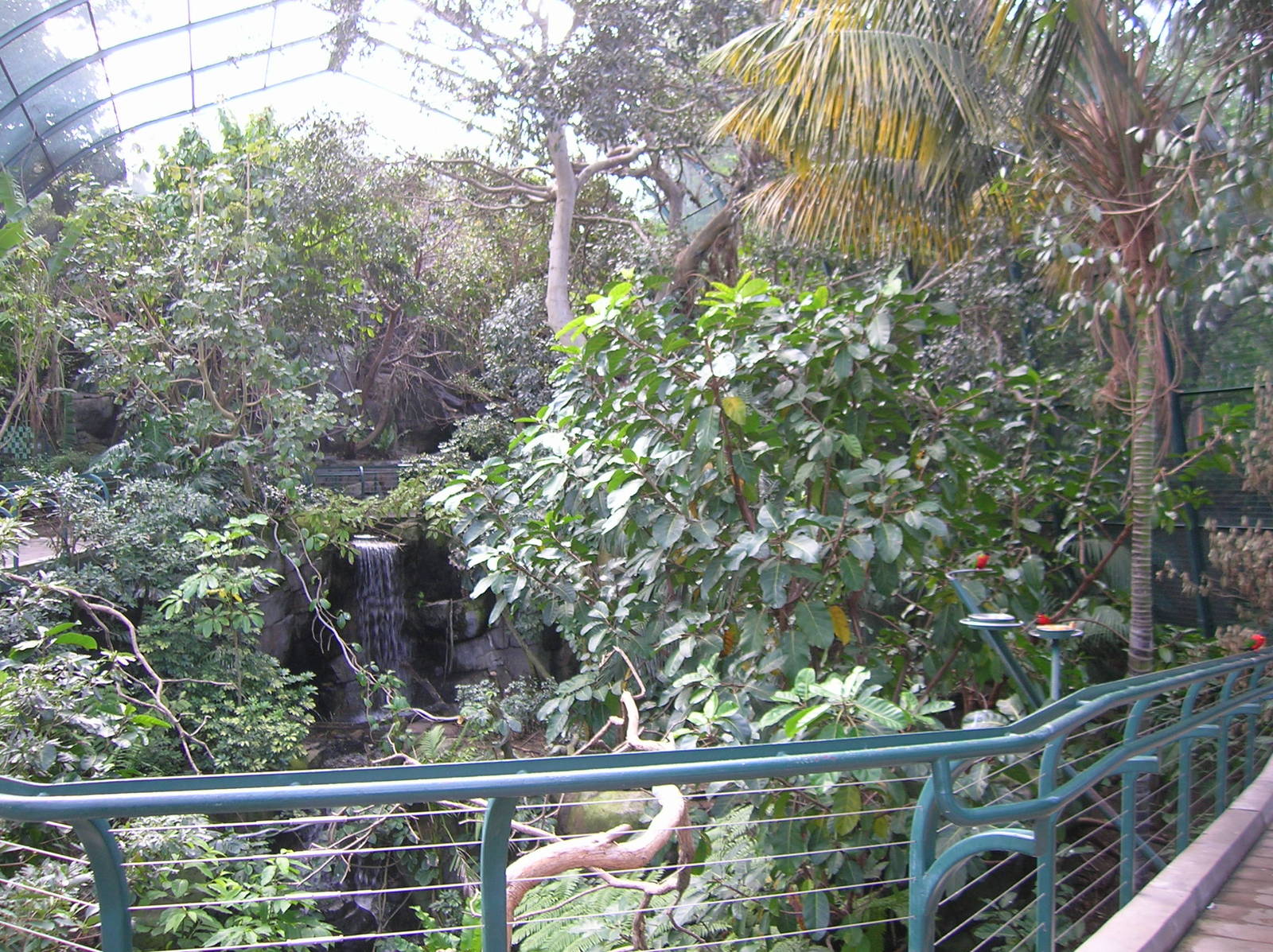 Inside Owen's Aviary 2-5-09