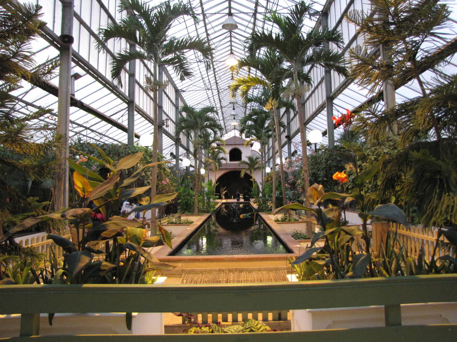 inside Palms Tropical Oasis/Bugs of Fun