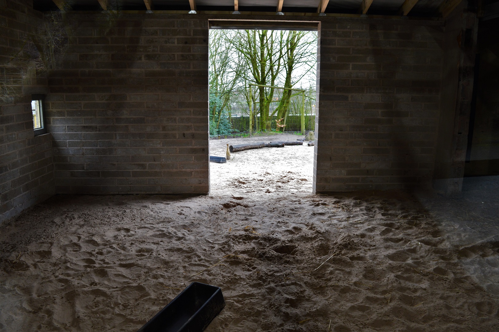 Inside part of new extension to camel house