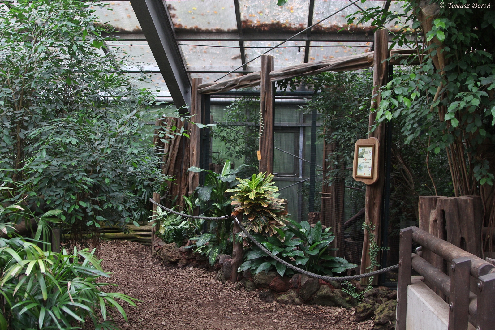 Inside pavilion Amazonas-Haus