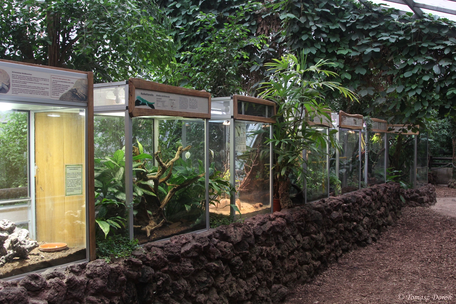 Inside pavilion Amazonas-Haus