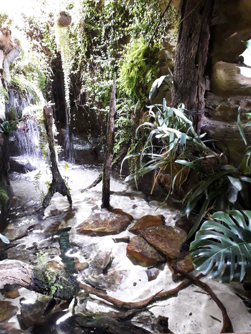 Inside pavilion called ''Malá Amazonie''