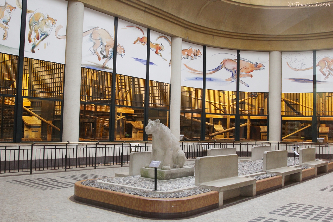 Inside Pavilion for big Cats, April 2015