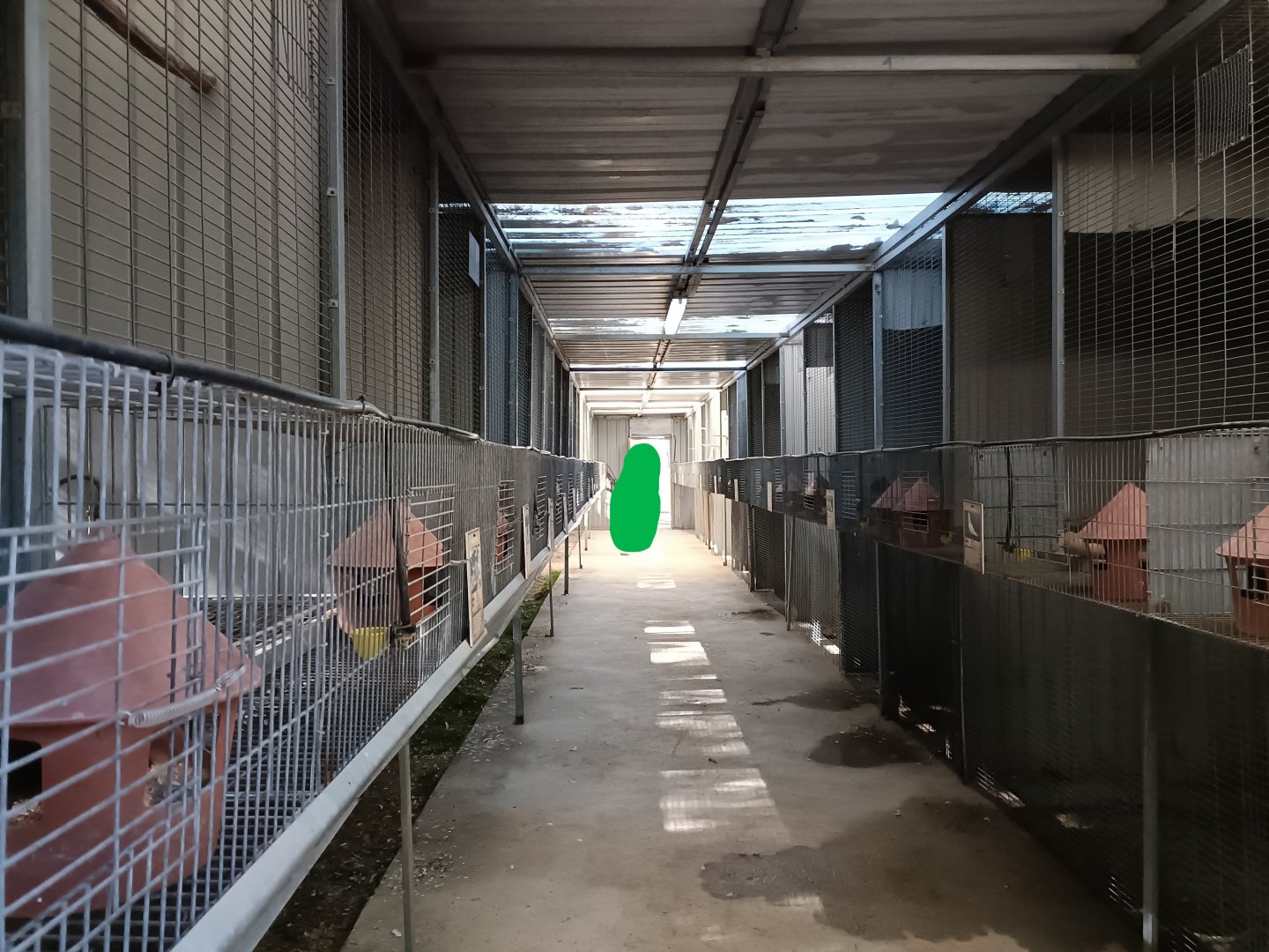 Inside pigeon aviaries - Bioparque La Rocha