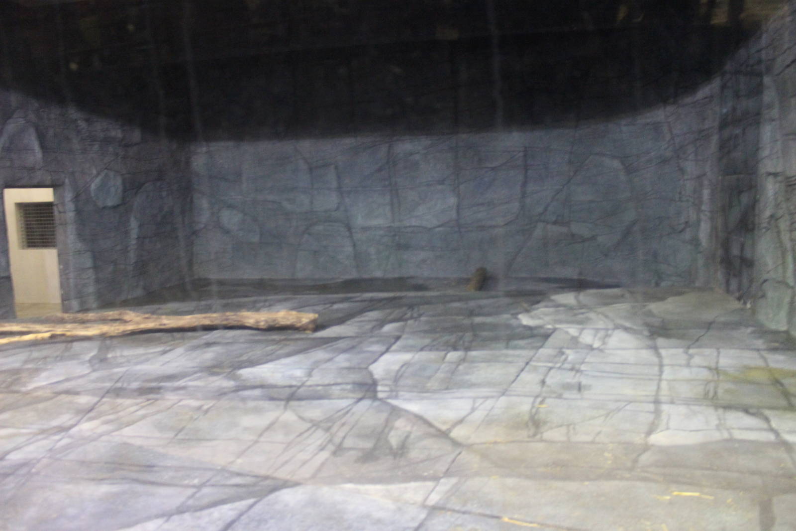 Inside Polar Bear Enclosure