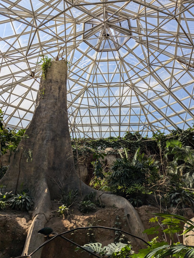 Inside Primate World