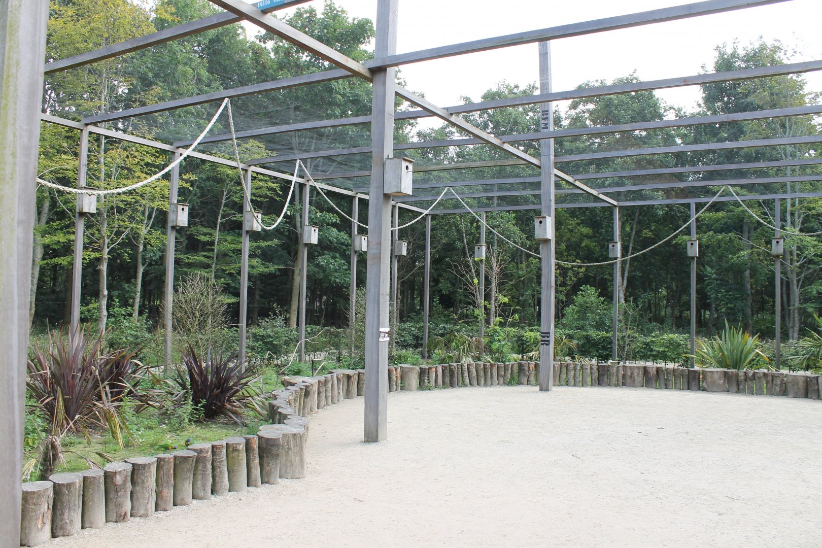 Inside Rainbow lorikeet Walk-through