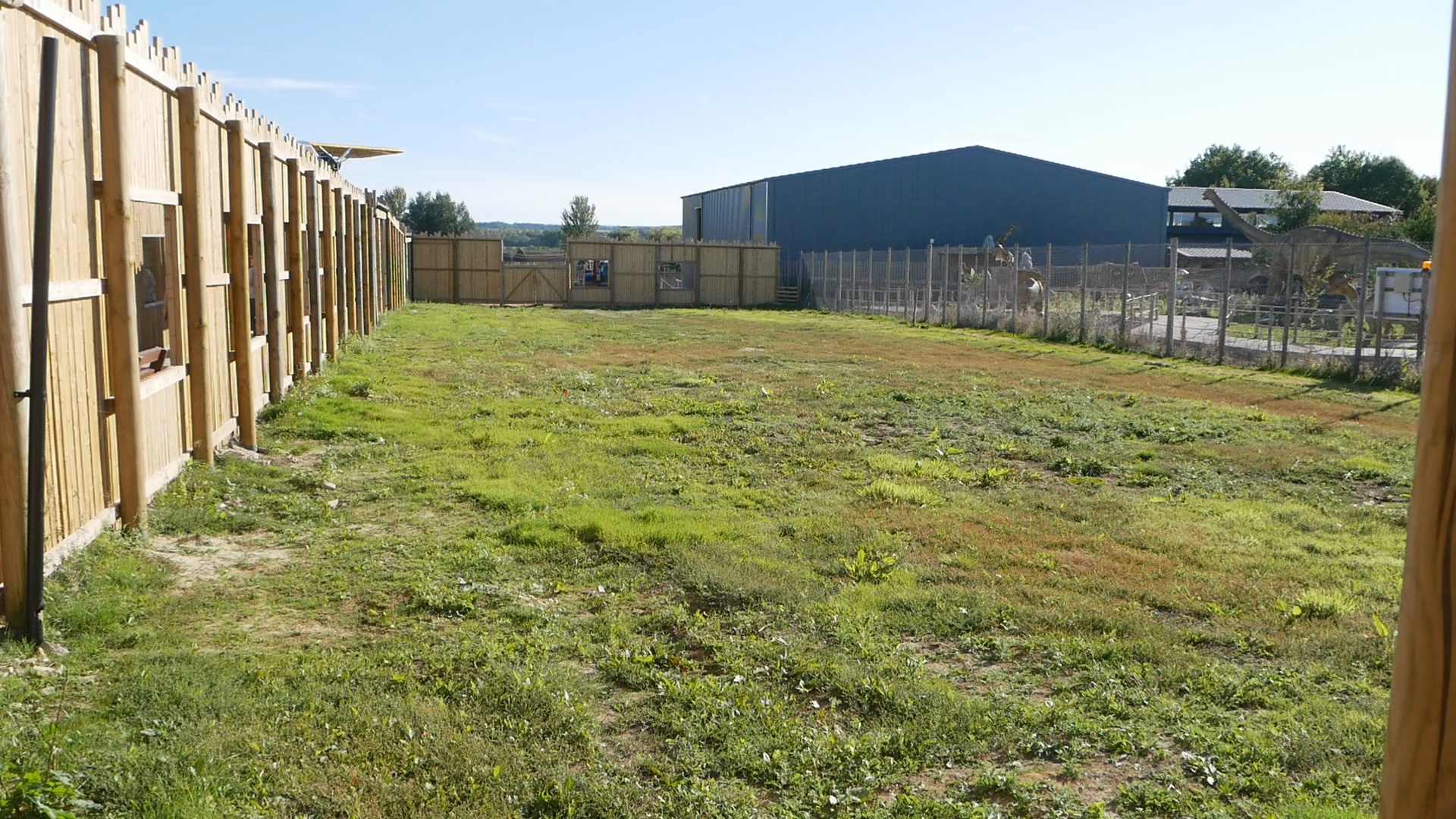 Inside Rainforest SOS