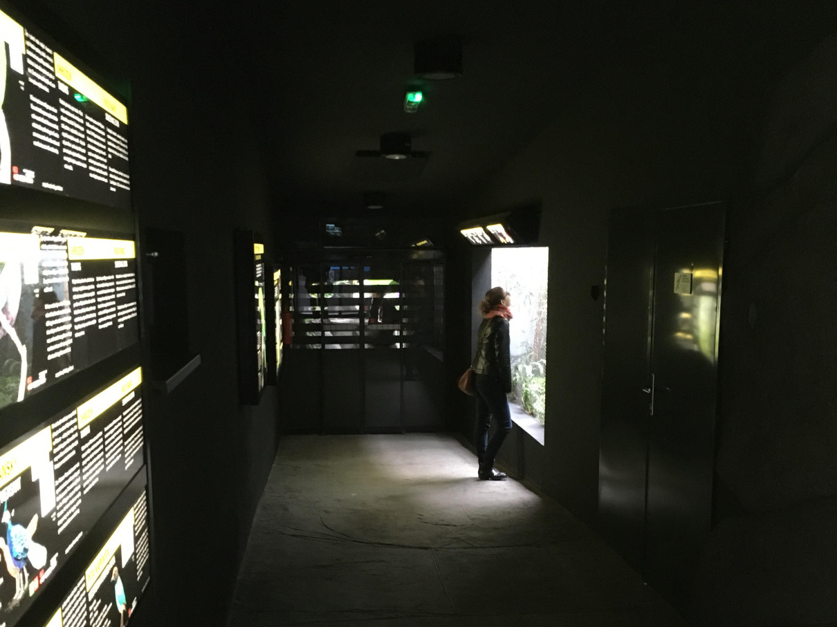 Inside Rakos´ House of Rare Parrots