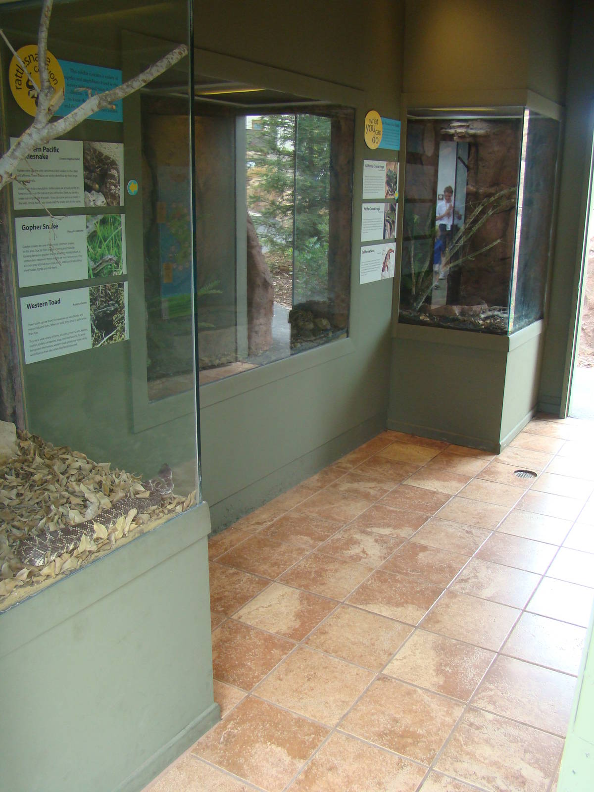 Inside Rattlesnake Canyon