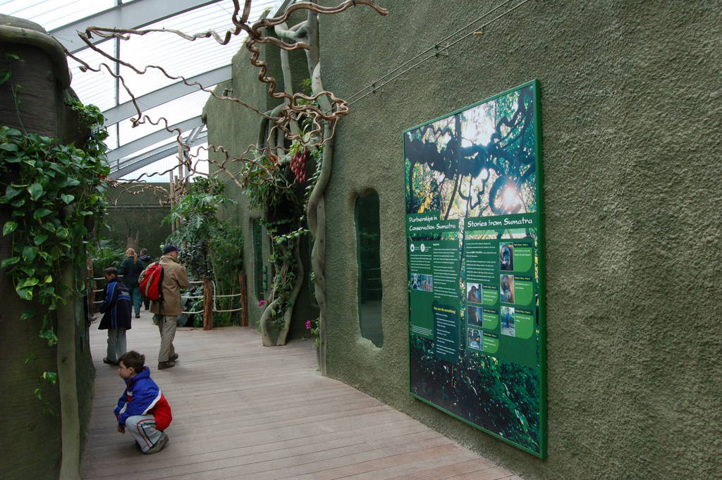 Inside Realm of the red ape 1